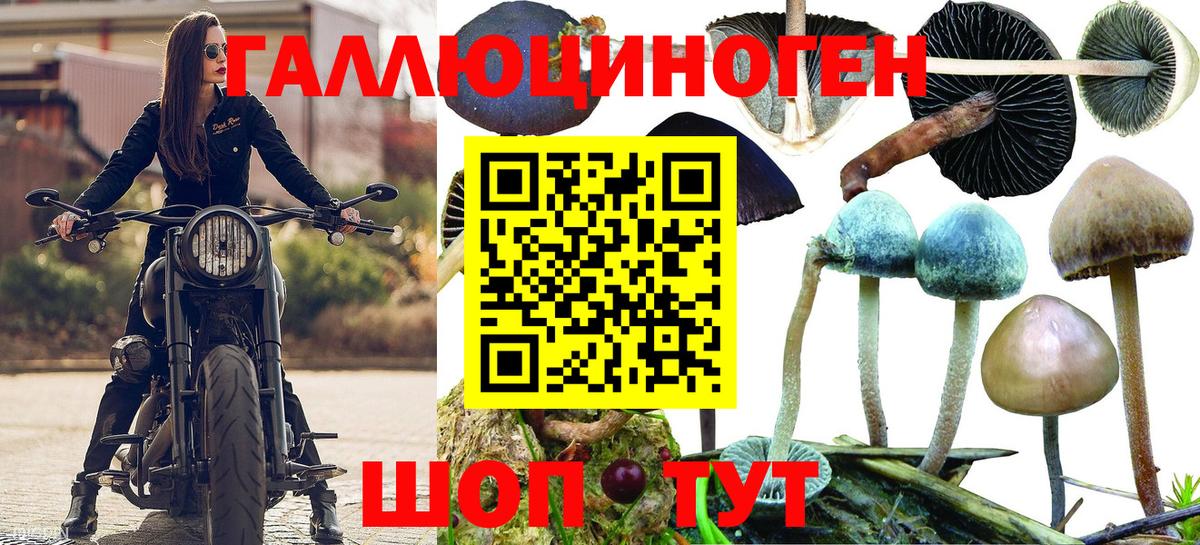 Псилоцибиновые грибы Psilocybe  Вход с VPN  закладка  Тула 