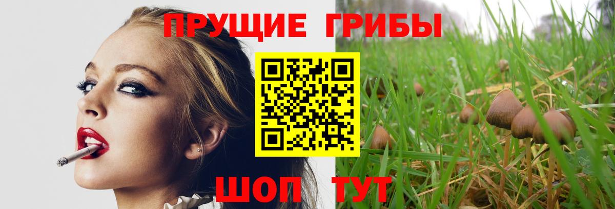 Псилоцибиновые грибы прущие грибы Тула